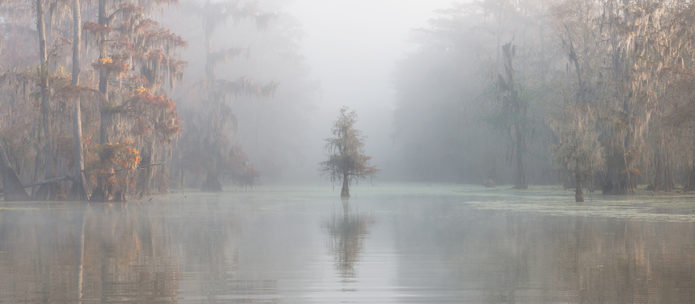 Misty Bayou von Roberto Marchegiani