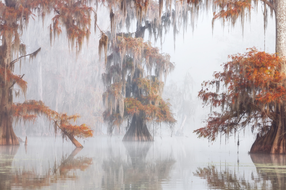 Mysty Bayou von Roberto Marchegiani