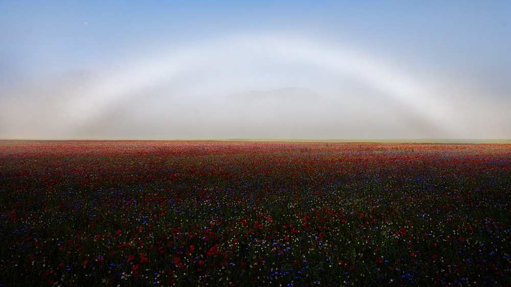 Fogbow von Roberto Marchegiani