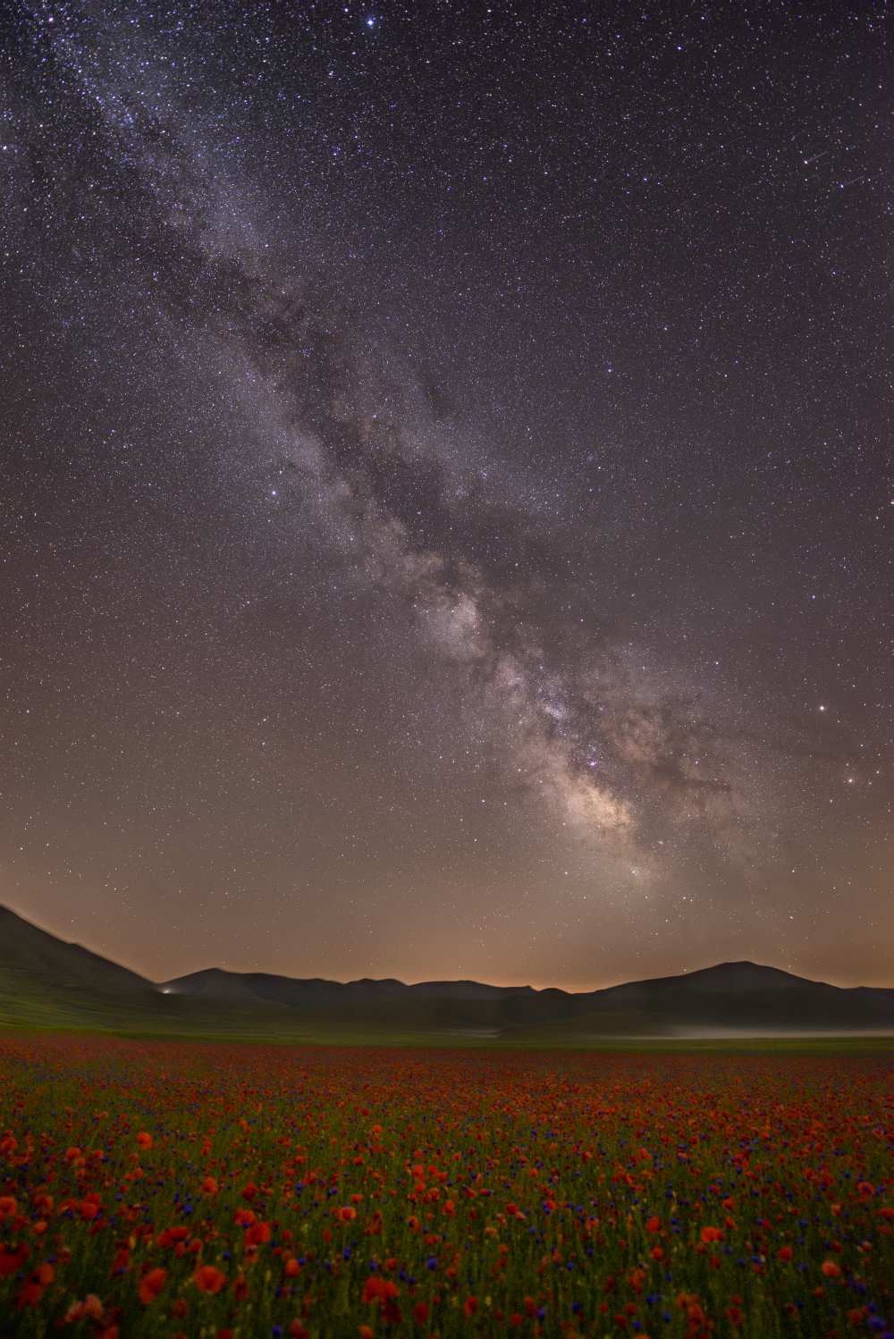 Red Meadows von Roberto Marchegiani