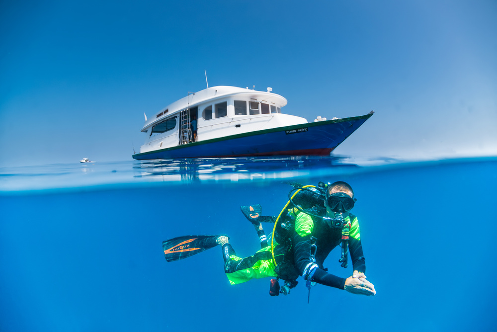 Sachika Dive von Roberto Marchegiani