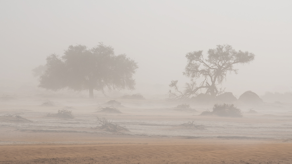 Desert Storm von Roberto Marchegiani