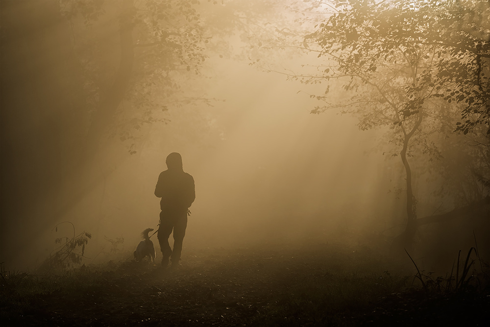 a walk in the fog von Roberto Marini