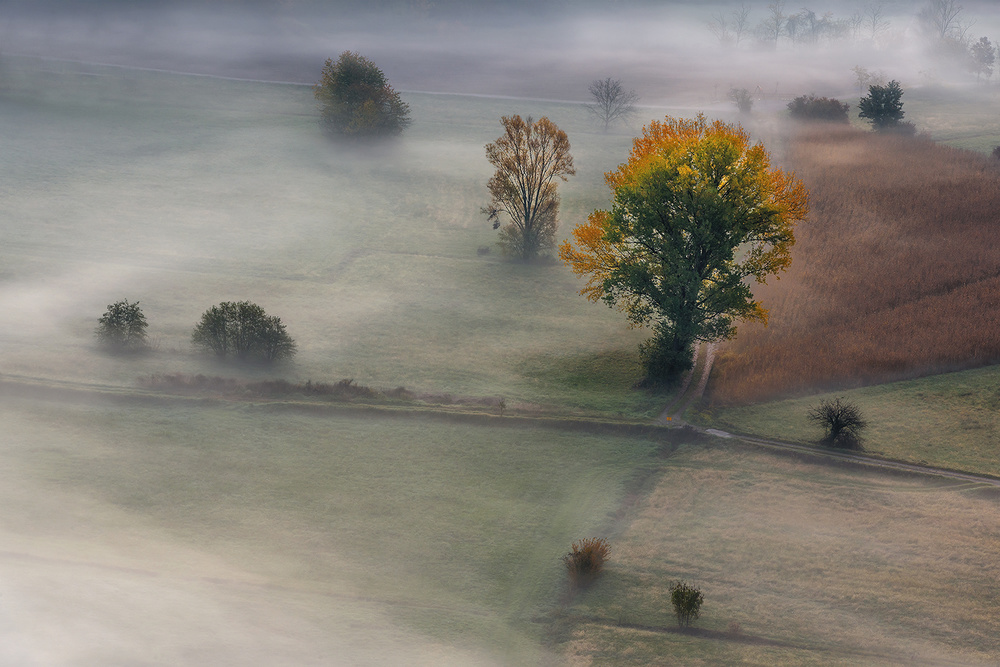 autumnal Meches von Roberto Marini