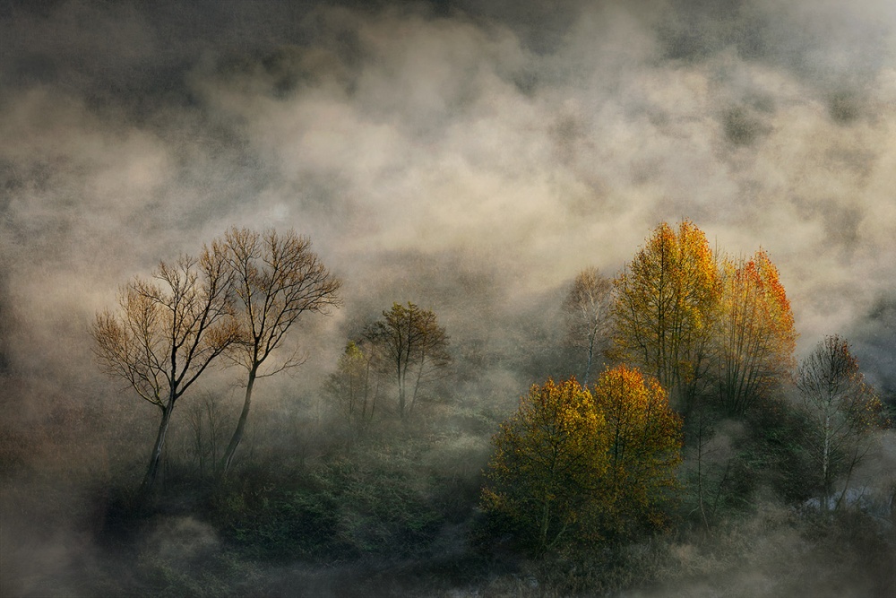 seasons von Roberto Marini