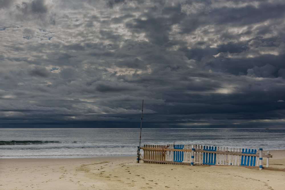 over the fence von Roberto Marini