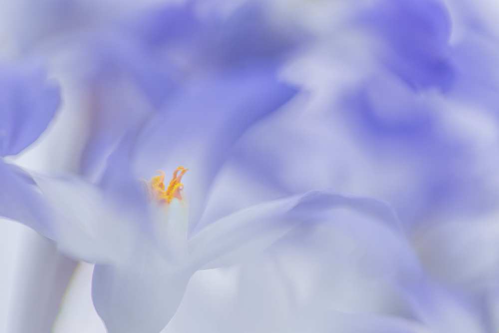 Blue waves von Roelof de Hoog