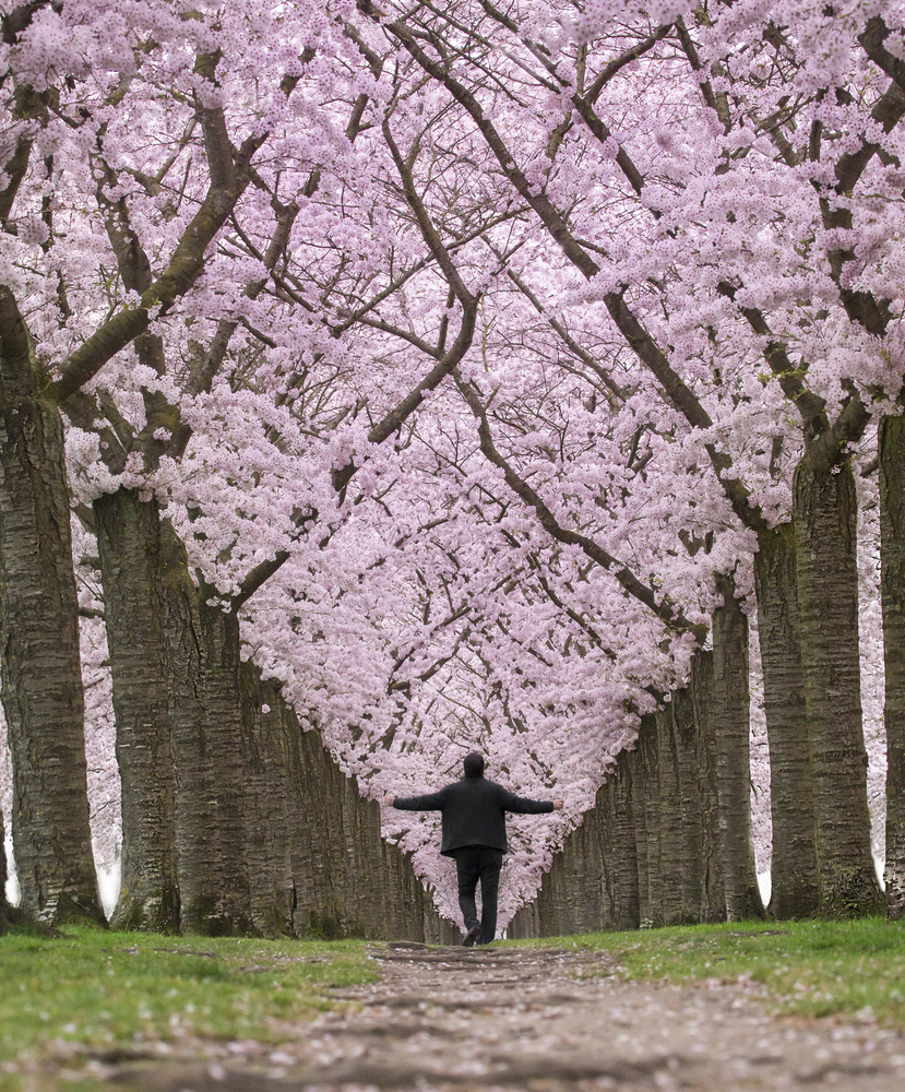 Feeling spring von Roelof de Hoog