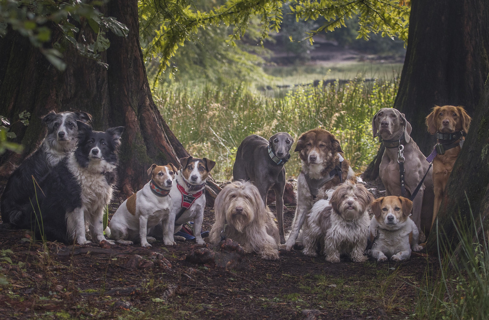 Family portrait von Roelof de Hoog