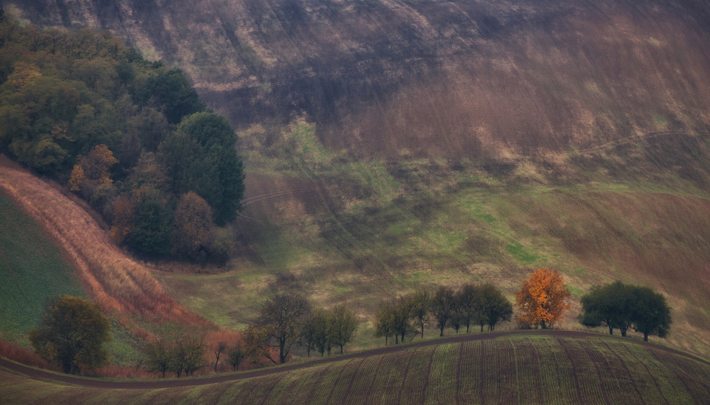 Fire in the field von Rok Godec