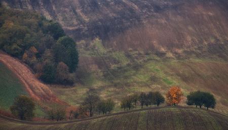 Fire in the field