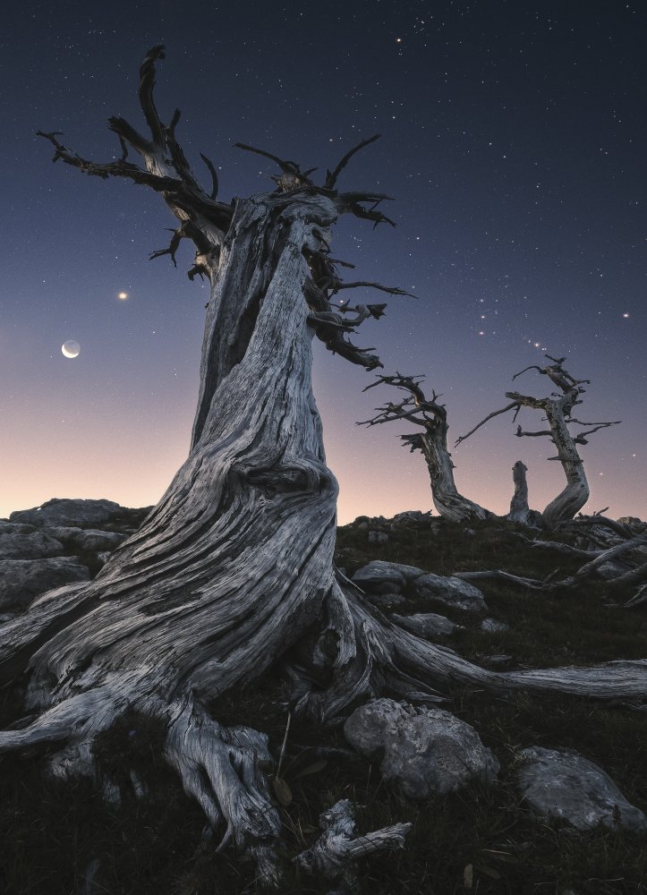 Forgotten Ancestors von Roksolyana Hilevych