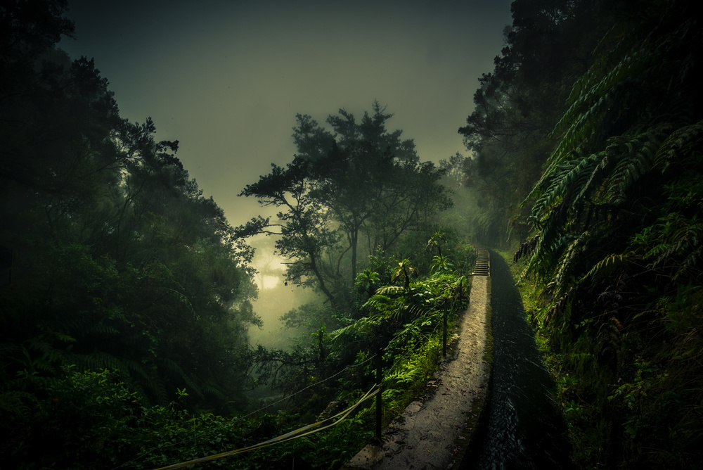 Levada Walk von Roland Weber