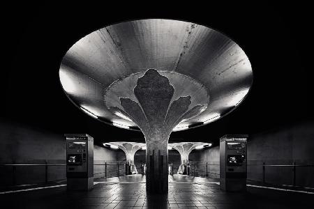 Subway Mushroom