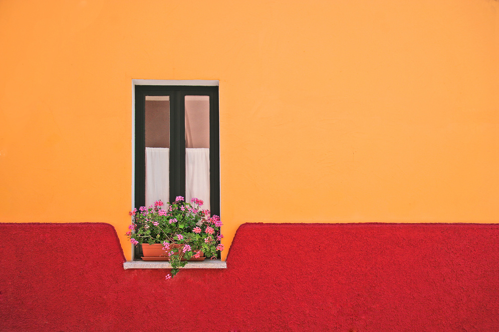 window flower von Rolf Endermann