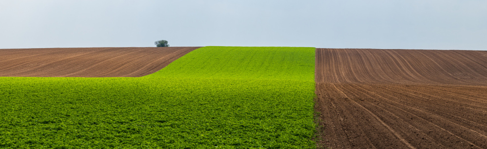 Green land von Roman Chudaš