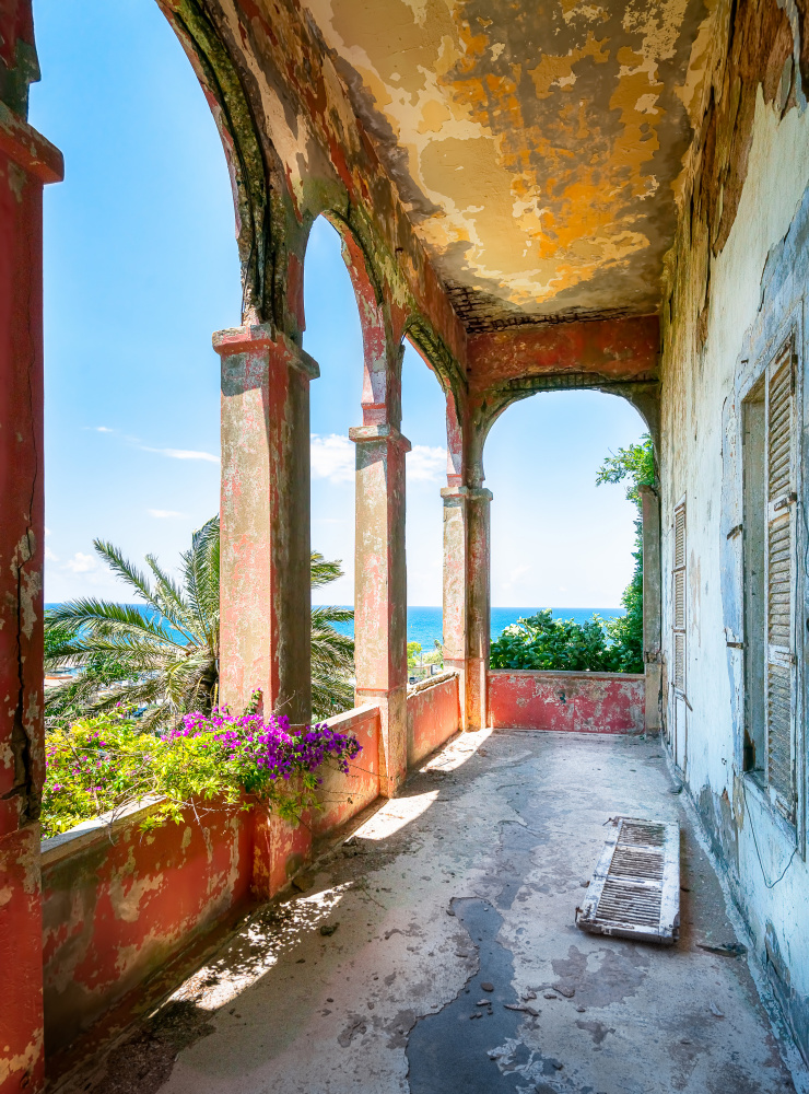 Tropical Balcony von Roman Robroek