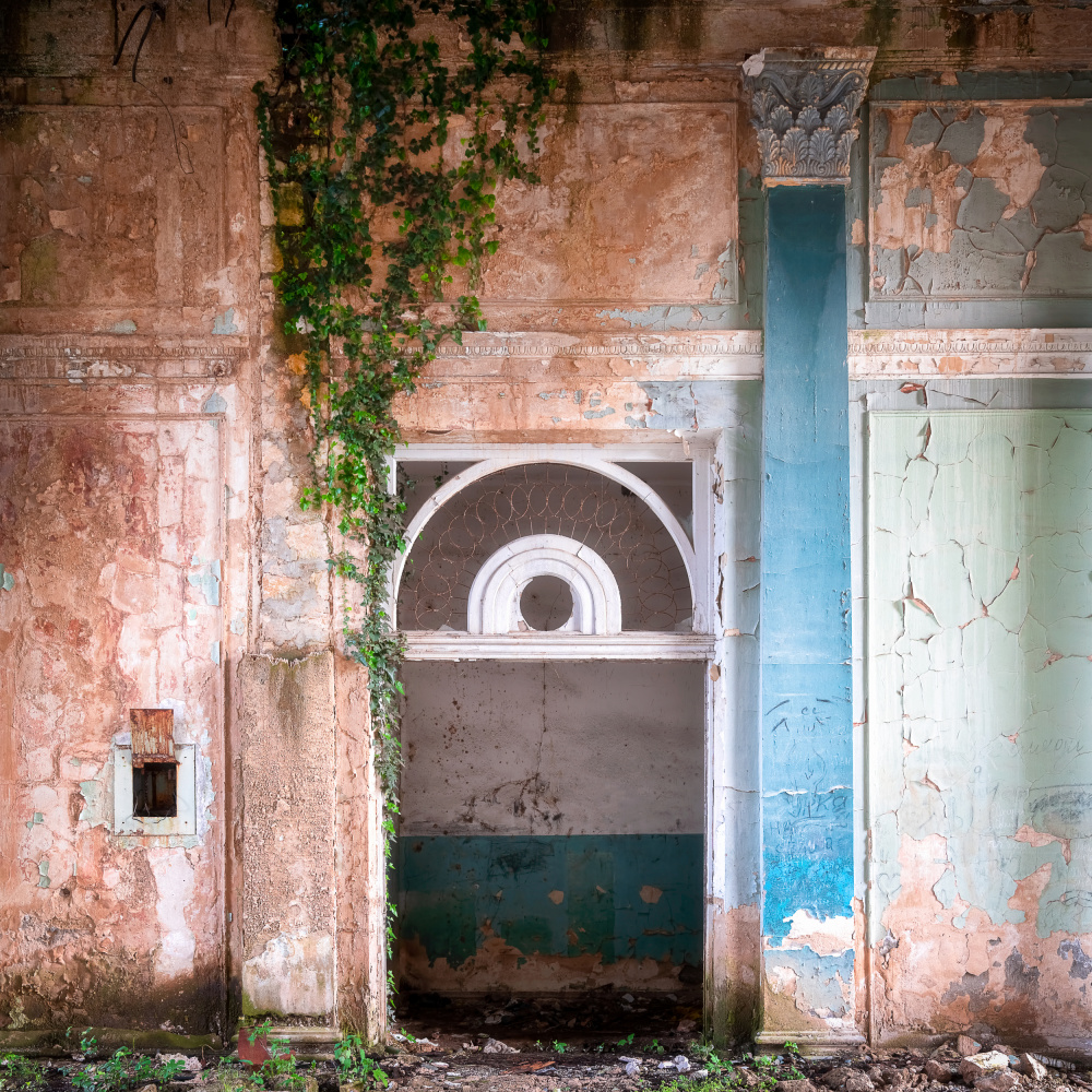 Overgrown Entrance von Roman Robroek