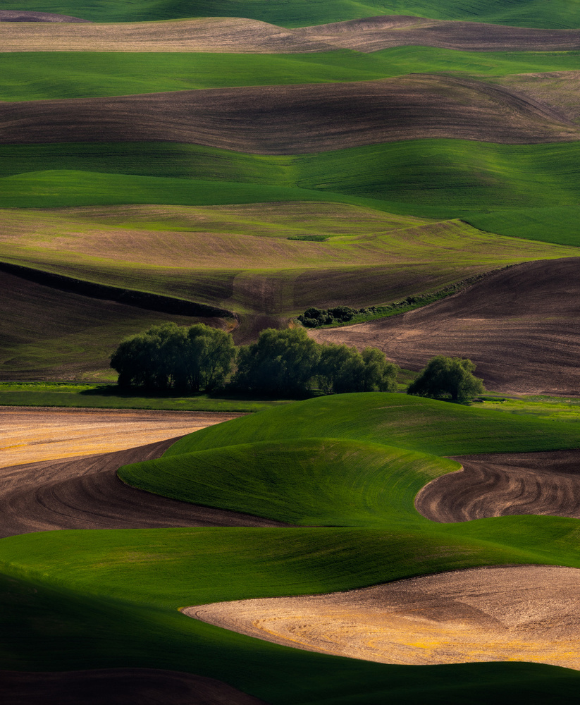 Rolling Dreams von Ron Langager