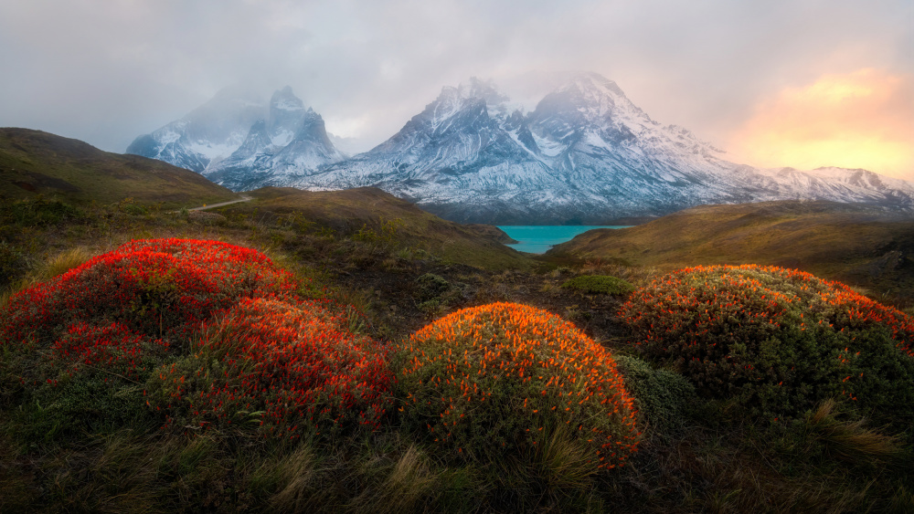 Spring in Patagonia von Rong Wei