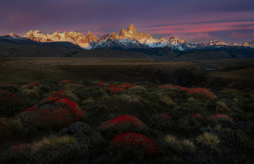 Spring in Torres del Paine von Rong Wei