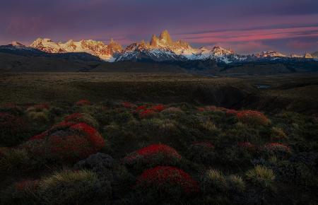 Spring in Torres del Paine