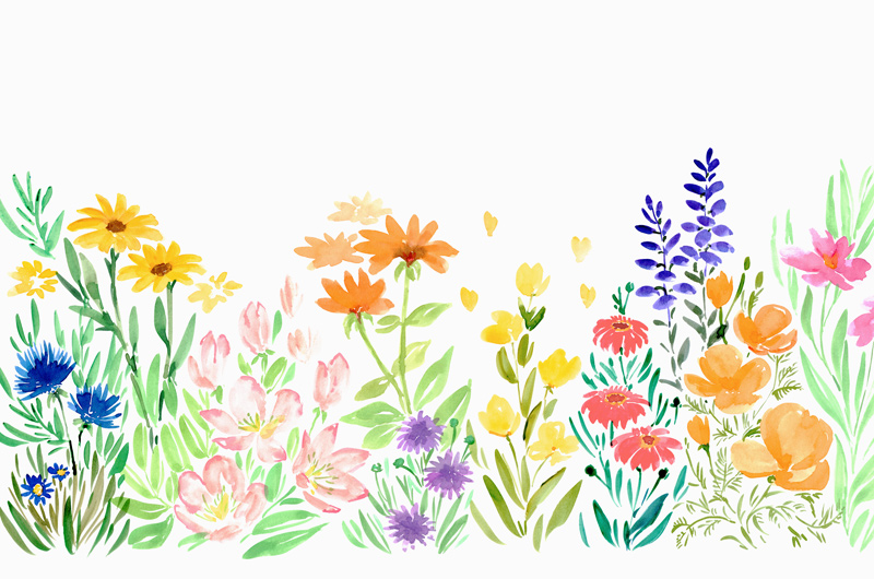 Watercolor wildflowers von Rosana Laiz Blursbyai