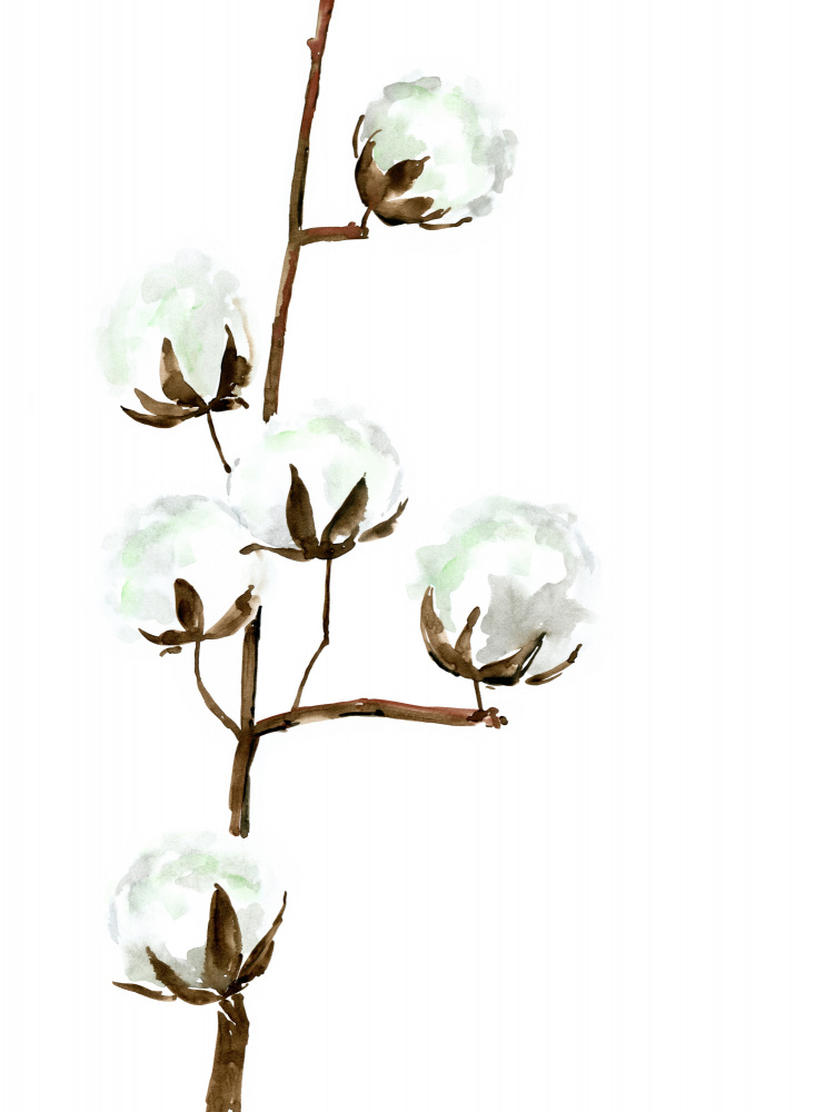 Watercolor cotton branch I von Rosana Laiz Blursbyai