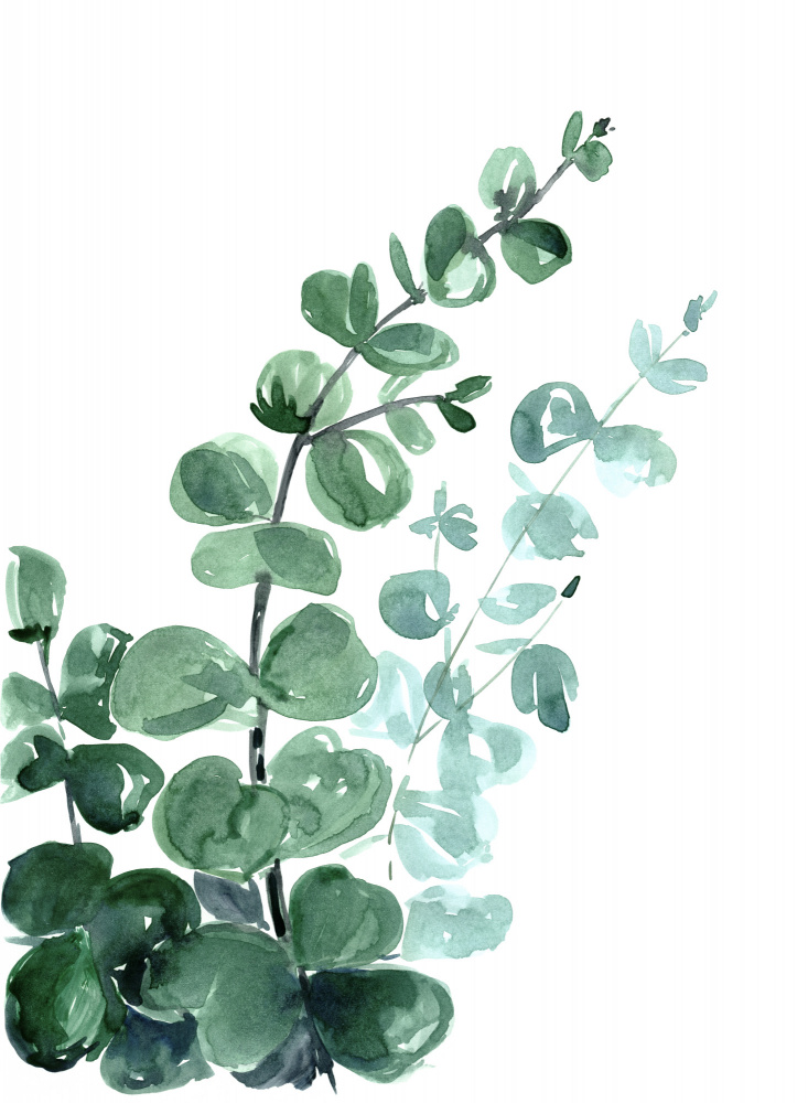 Watercolor eucalyptus bouquet von Rosana Laiz Blursbyai