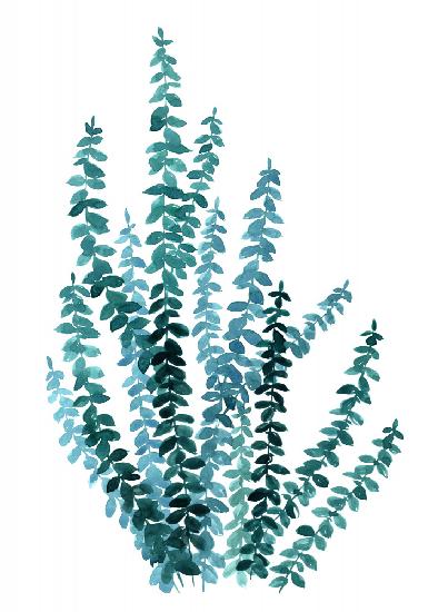 Watercolor eucalyptus branch in teal