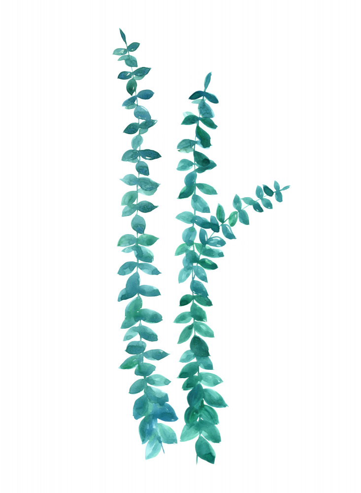 Watercolor eucalyptus branches in teal von Rosana Laiz Blursbyai