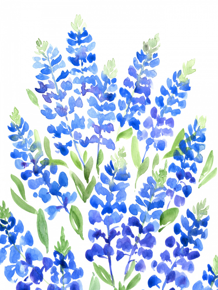 Watercolor Texas bluebonnets von Rosana Laiz Blursbyai