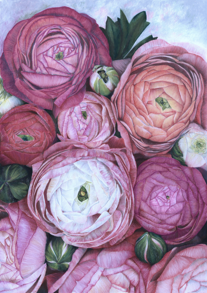 Arleth ranunculus bouquet in cold pink von Rosana Laiz Blursbyai