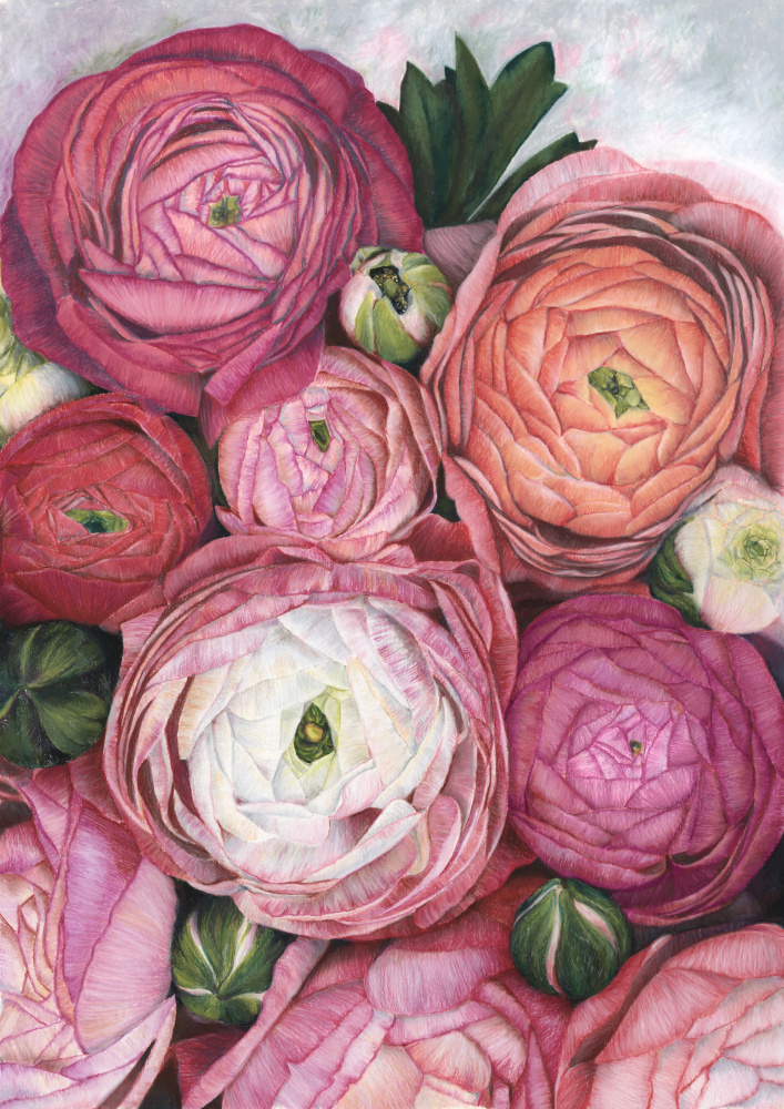 Arleth ranunculus bouquet in warm pink von Rosana Laiz Blursbyai