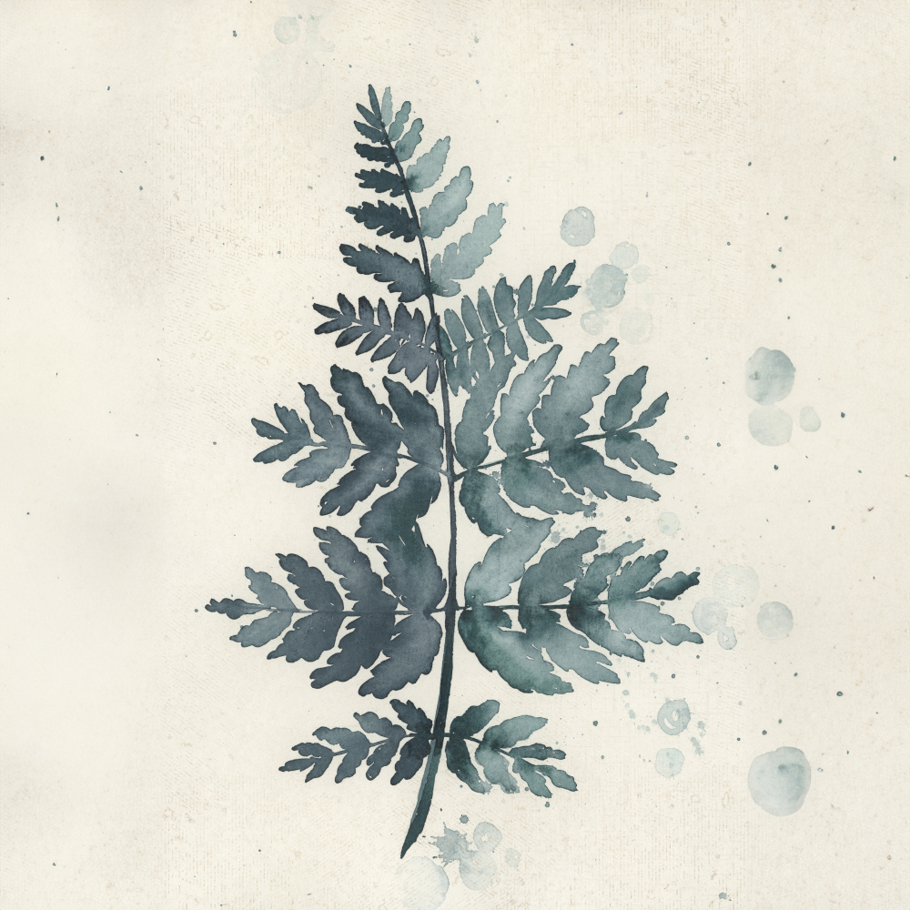 Teal watercolor fern 1 von Rosana Laiz Blursbyai