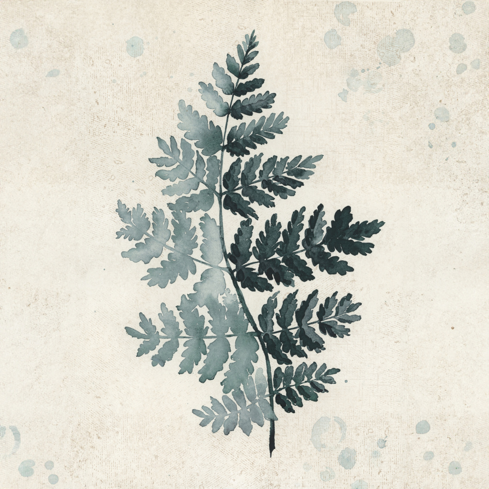 Teal watercolor fern 2 von Rosana Laiz Blursbyai