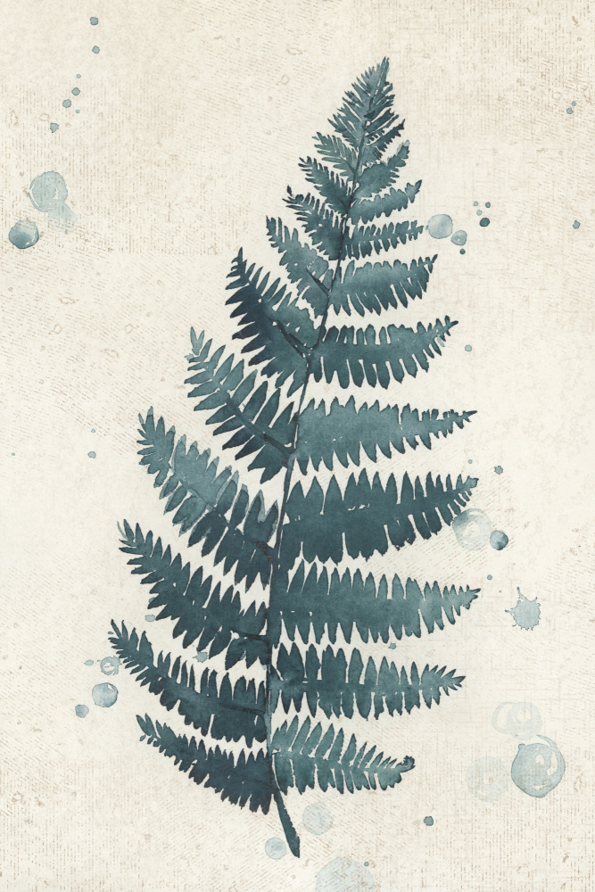 Teal watercolor fern 3 von Rosana Laiz Blursbyai