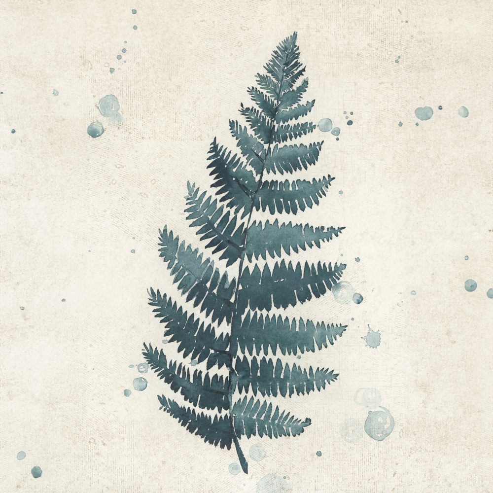 Teal watercolor fern 3 von Rosana Laiz Blursbyai