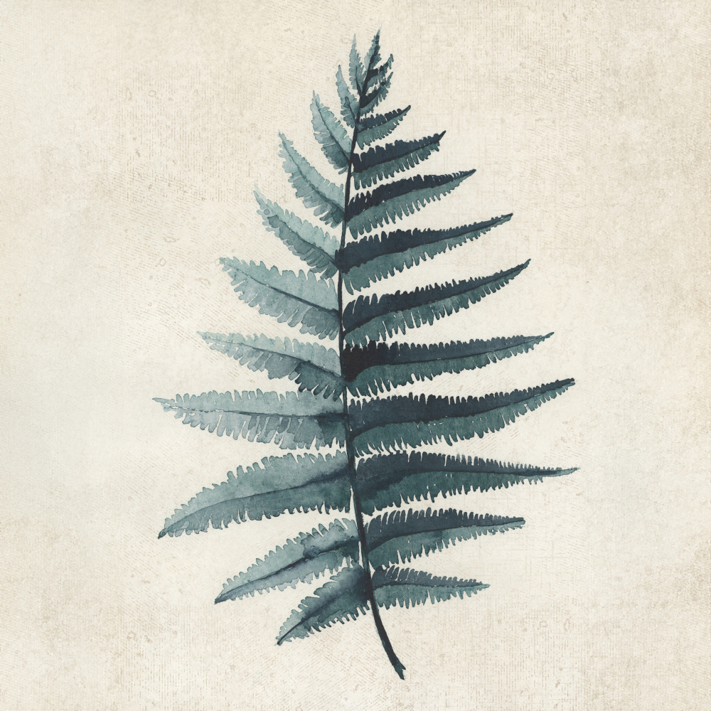 Teal watercolor fern 5 von Rosana Laiz Blursbyai