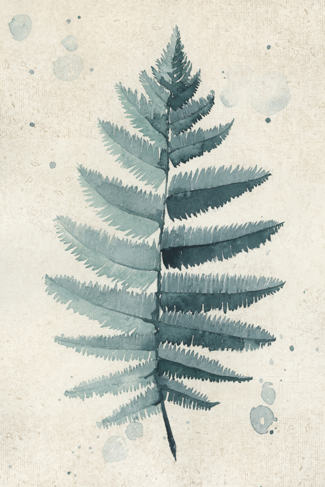 Teal watercolor fern 6 von Rosana Laiz Blursbyai