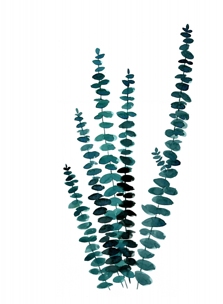 Teal watercolor eucalyptus I von Rosana Laiz Blursbyai