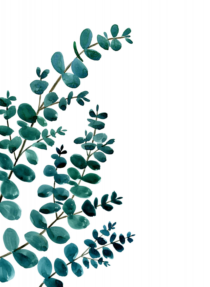 Teal watercolor eucalyptus II von Rosana Laiz Blursbyai