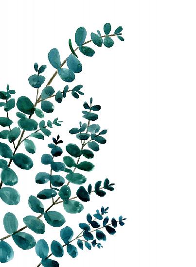 Teal watercolor eucalyptus II