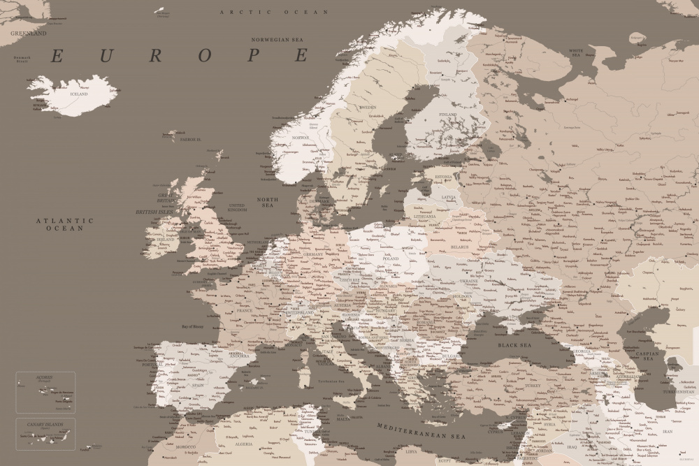 Earth tones detailed map of Europe von Rosana Laiz Blursbyai