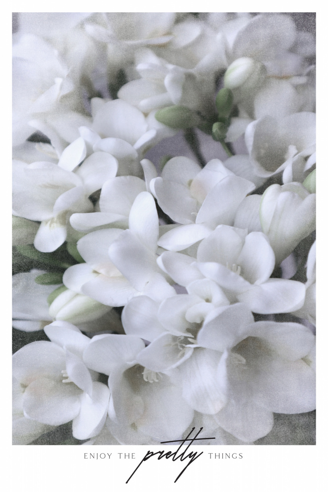 Distressed freesias III von Rosana Laiz Blursbyai