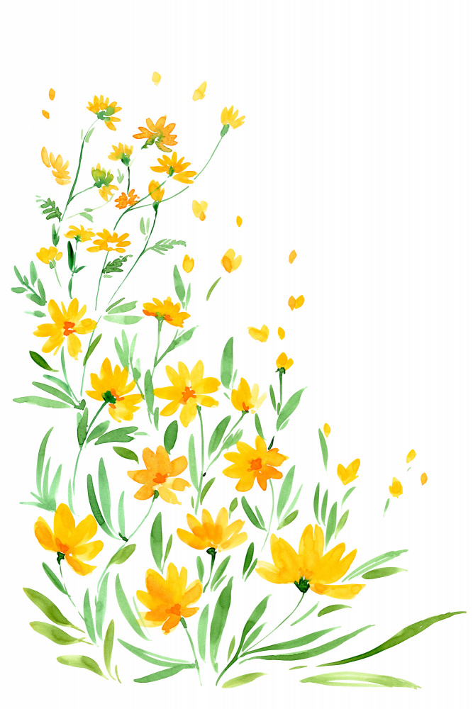 Yellow watercolor wildflowers von Rosana Laiz Blursbyai