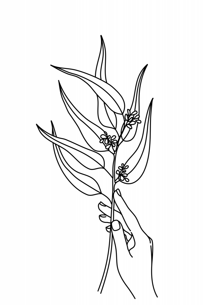 Seeded eucalyptus line art von Rosana Laiz Blursbyai