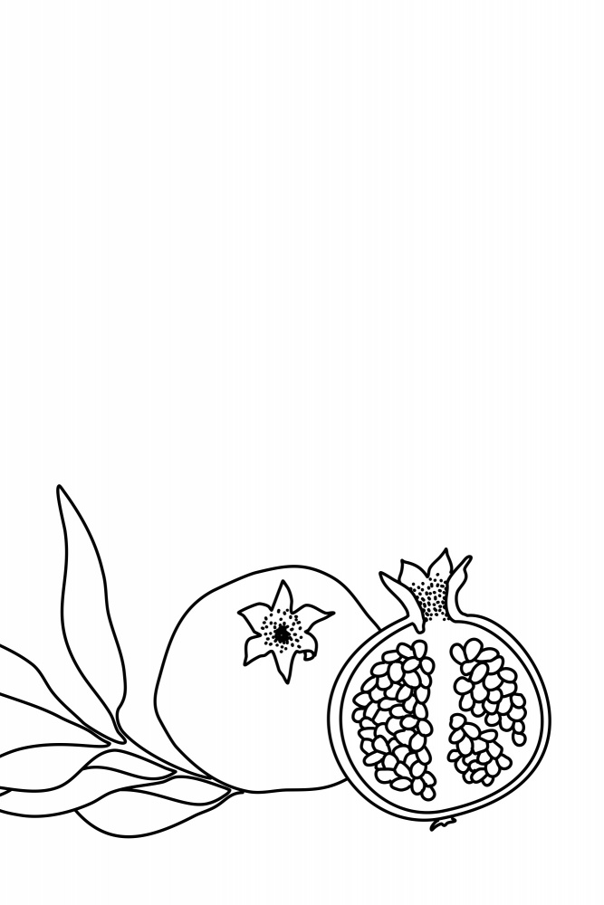 Pomegranate line art von Rosana Laiz Blursbyai