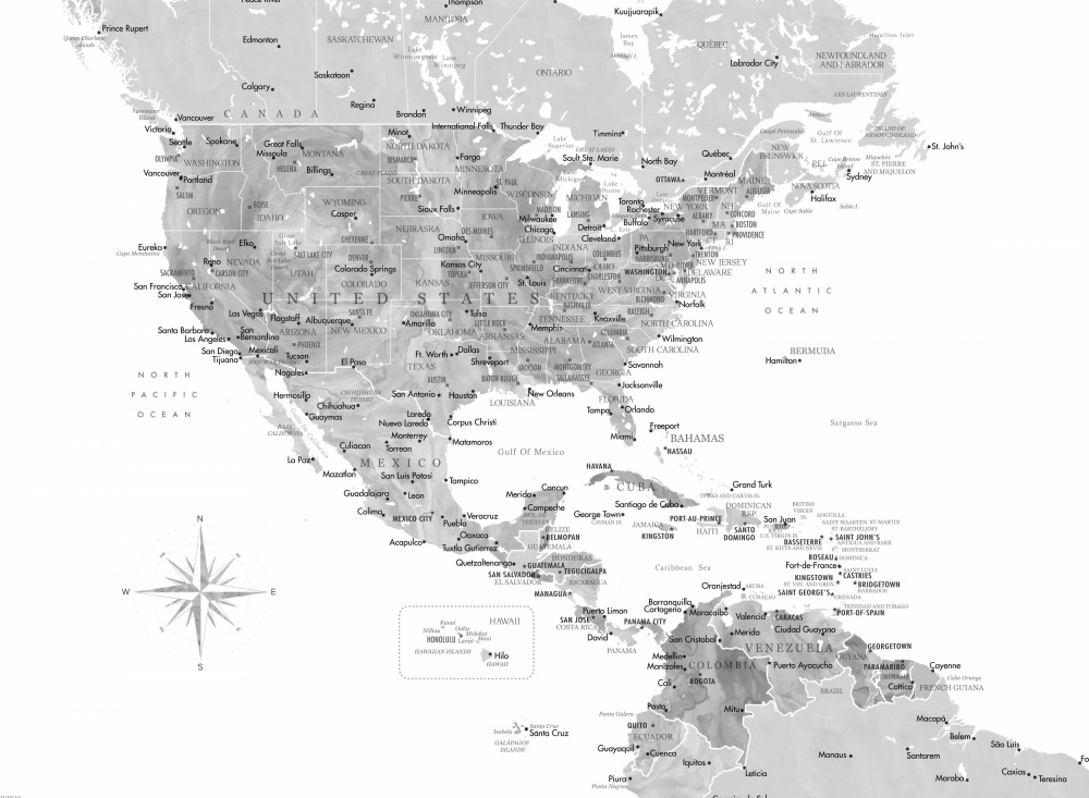 Gray map of USA and the Caribbean sea von Rosana Laiz Blursbyai