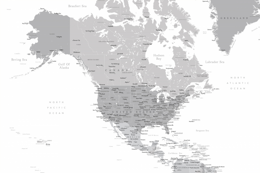 Gray map of North America with cities von Rosana Laiz Blursbyai